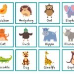 Animales en Inglés