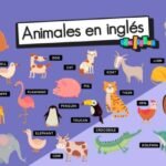 nombres de animales en inglés