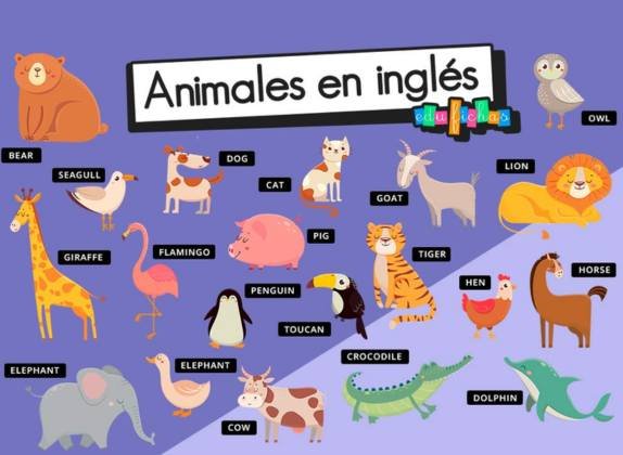 nombres de animales en inglés